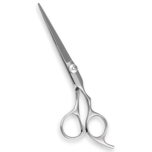 Professional Hair Cutting Scissors